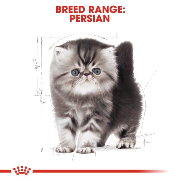 Feline Breed Nutrition Persian Kitten 400 g - Image 8
