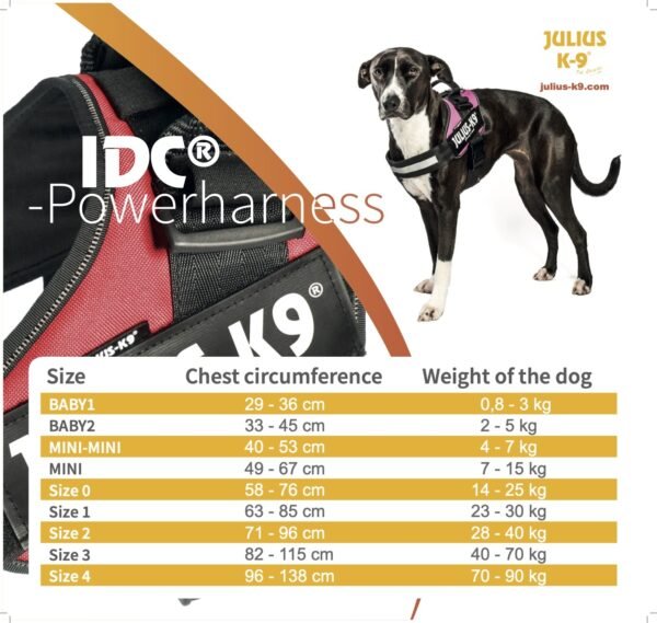 IDC High Visibility Powerharness Size: 0 UV orange - Image 2