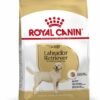 Royal Canin Labrador Adult - Image 2