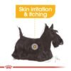 Royal Canin Dermacomfort (WET FOOD - Pouches) 12 x 85g - Image 2