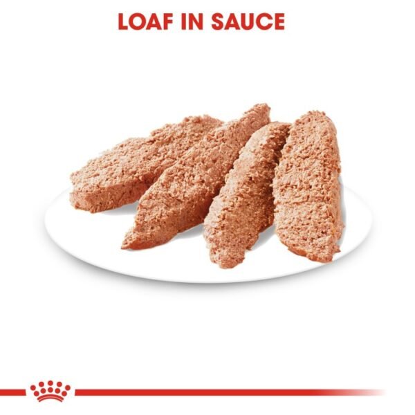 Royal Canin Coat Care (WET FOOD - Pouches) 12 x 85g - Image 2