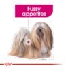Royal Canin Exigent (WET FOOD- Pouches) 12 x 85g - Image 4