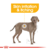 Royal Canin Maxi Dermacomfort 12 KG - Image 2