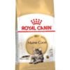 Royal Canin Maine Coon Adult 2 KG - Image 2
