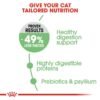 Royal Canin Digestive Care - Image 4
