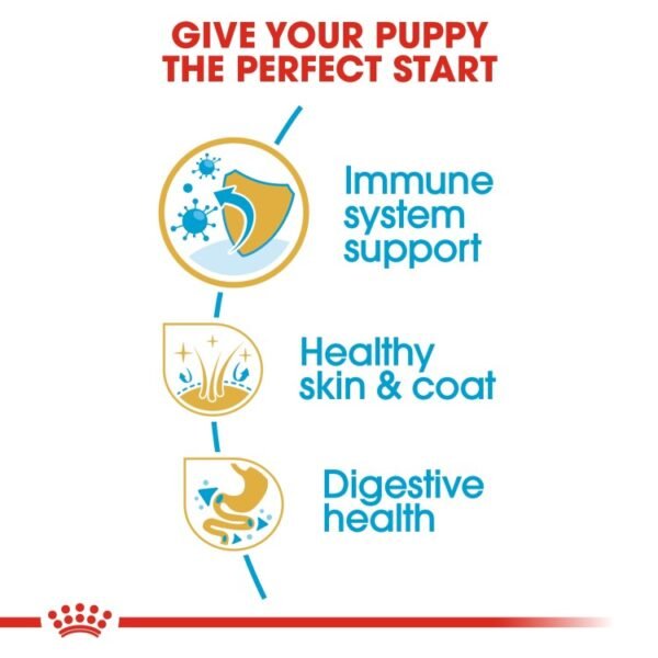 Royal Canin Cocker Puppy 3 KG - Image 4