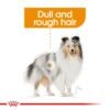 Royal Canin Coat Care (WET FOOD - Pouches) 12 x 85g - Image 3