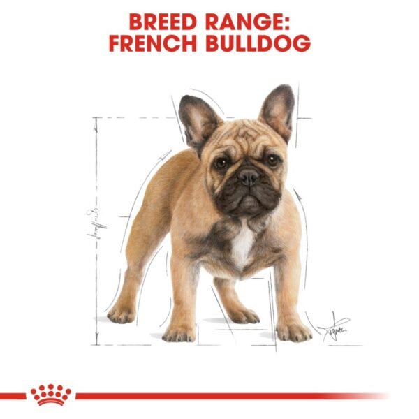 Royal Canin French Bulldog Adult 3 KG - Image 5