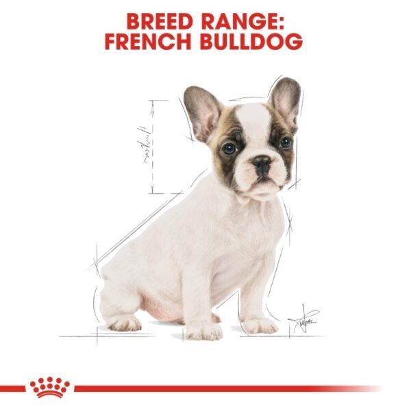 Royal Canin French Bulldog Puppy 3 KG - Image 4