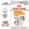 Royal Canin Coat Care (WET FOOD - Pouches) 12 x 85g
