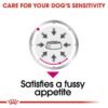 Royal Canin Exigent (WET FOOD- Pouches) 12 x 85g - Image 3