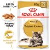 Royal Canin Maine Coon (WET FOOD - Pouches) 12 x 85g
