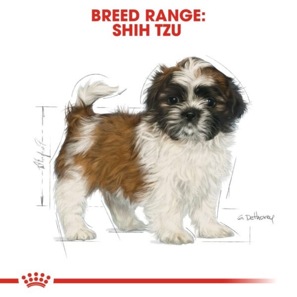 Royal Canin Shih Tzu Puppy 1.5 KG - Image 4