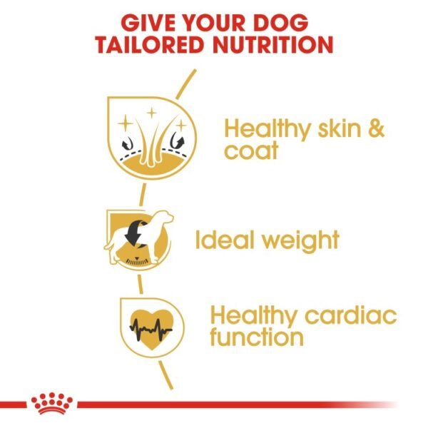 Royal Canin Cocker Adult 3 KG - Image 5