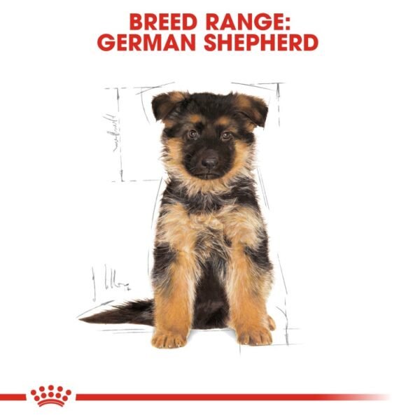 Royal Canin German Shepherd Puppy - Image 4