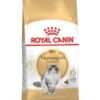 Royal Canin Norwegian Forest Cat Adult 2 KG - Image 6