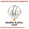 Royal Canin Coat Care (WET FOOD - Pouches) 12 x 85g - Image 5