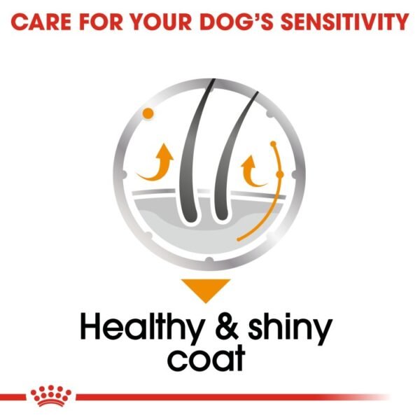 Royal Canin Coat Care (WET FOOD - Pouches) 12 x 85g - Image 5