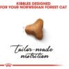 Royal Canin Norwegian Forest Cat Adult 2 KG - Image 4