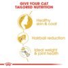 Royal Canin Norwegian Forest Cat Adult 2 KG - Image 5