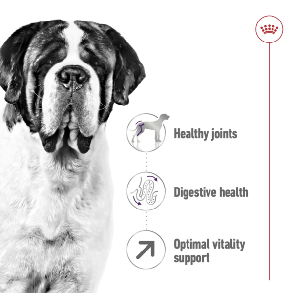 Royal Canin Size Health Nutrition Giant Adult 15 KG - Image 2