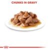 Royal Canin Feline Health Nutrition Ageing +12 Gravy WET FOOD - Pouches 12 x 85g - Image 3