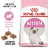 Royal Canin Feline Health Nutrition Kitten