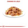 Royal Canin Feline Health Nutrition Instinctive Adult Cats Jelly Wet Food - Pouches 12 x 85g - Image 3
