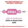 RoyaL Canin Feline Health Nutrition Kitten Jelly Wet Food - Pouches 12x85G - Image 3