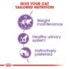 Royal Canin Feline Health Nutrition Sterilised Gravy Wet - Food Pouches 12 x 85g - Image 3