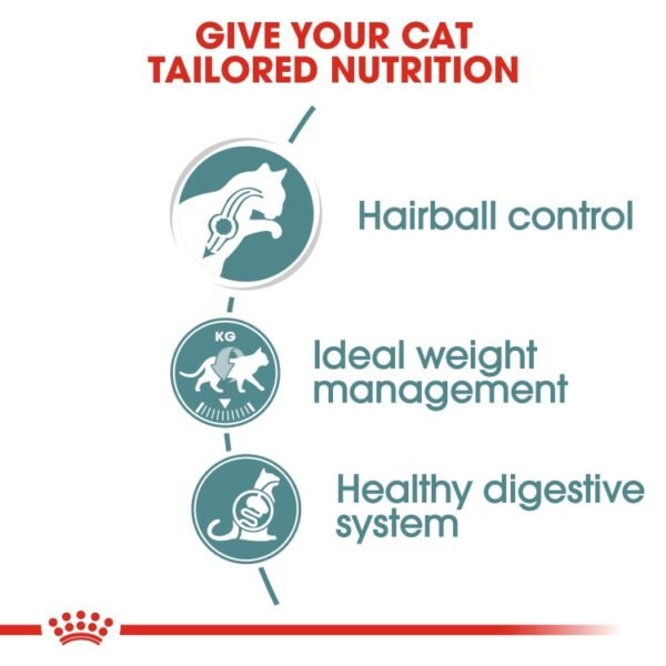 Royal Canin Feline Care Nutrition Hairball Gravy Wet Food  12 x 85g - Image 3