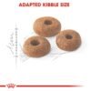 Royal Canin Feline Health Nutrition Fit 32 - Image 3