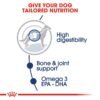 Royal Canin Size Health Nutrition Maxi Adult Wet Food Pouches 10 x 140g - Image 4