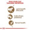 Royal Canin Feline Health Nutrition Ageing +12 Gravy WET FOOD - Pouches 12 x 85g - Image 6