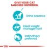 Royal Canin Feline Care Nutrition Urinary Care Wet Food  12 x 85g - Image 5