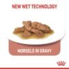 Royal Canin Feline Health Nutrition Indoor 7+ Wet Food - Pouches 12 x 85g - Image 3