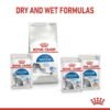 Royal Canin Feline Health Nutrition Indoor Jelly Wet Food- Pouches 12 x 85g - Image 5