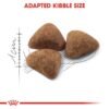 Royal Canin Feline Health Nutrition Indoor - Image 3