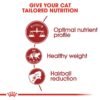 Royal Canin Feline Health Nutrition Fit 32 - Image 2