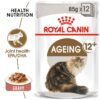 Royal Canin Feline Health Nutrition Ageing +12 Gravy WET FOOD - Pouches 12 x 85g