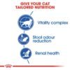 Royal Canin Feline Health Nutrition Indoor 7+ Years - Image 3