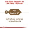 Royal Canin Feline Health Nutrition Ageing +12 Gravy WET FOOD - Pouches 12 x 85g - Image 4