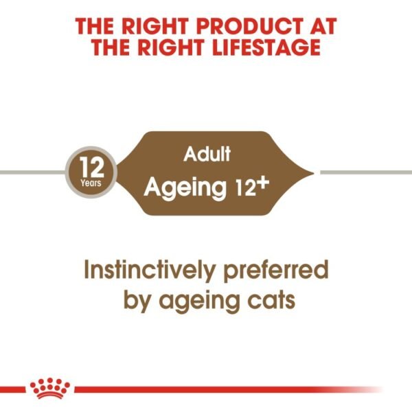 Royal Canin Feline Health Nutrition Ageing +12 Jelly WET FOOD - Pouches 12 x 85g - Image 4