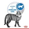 Royal Canin Feline Health Nutrition Indoor Jelly Wet Food- Pouches 12 x 85g - Image 3