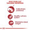 Royal Canin Feline Health Nutrition Instinctive Adult Cats Jelly Wet Food - Pouches 12 x 85g - Image 4