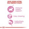 RoyaL Canin Feline Health Nutrition Kitten Jelly Wet Food - Pouches 12x85G - Image 4
