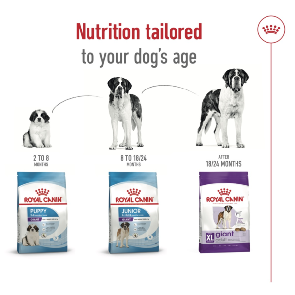 Royal Canin Size Health Nutrition Giant Adult 15 KG - Image 5