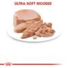 Royal Canin Feline Health Nutrition Mother & Babycat Mousse Wet Food - Cans 12 x 195g - Image 6