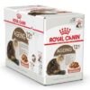 Royal Canin Feline Health Nutrition Ageing +12 Gravy WET FOOD - Pouches 12 x 85g - Image 2