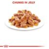 RoyaL Canin Feline Health Nutrition Kitten Jelly Wet Food - Pouches 12x85G - Image 6